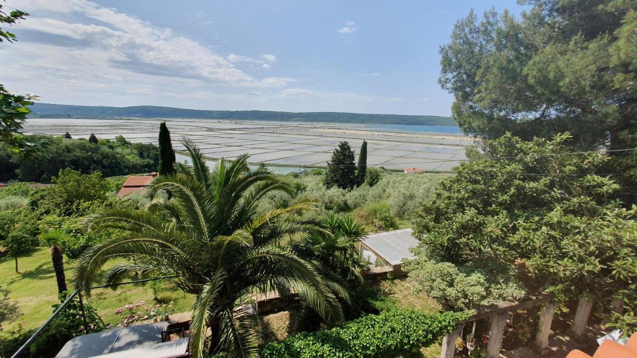 Apartment Laurus Portorož Buitenkant foto