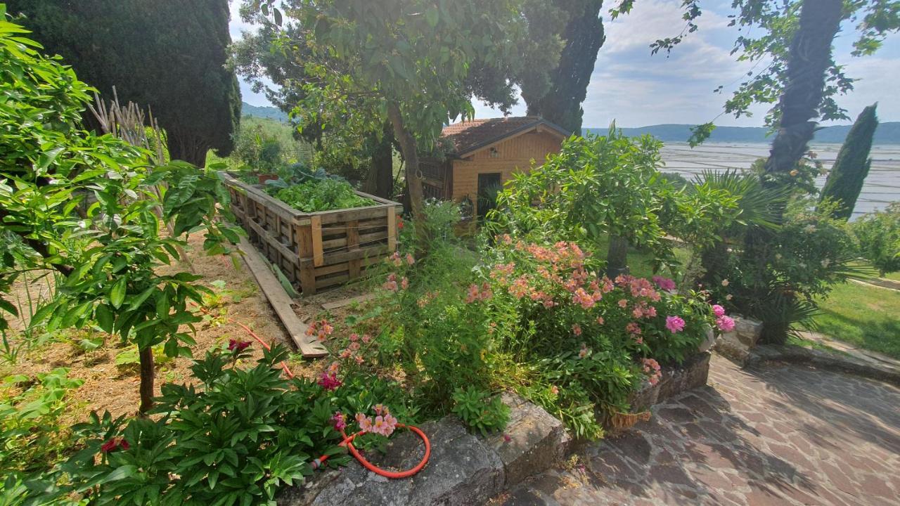 Apartment Laurus Portorož Buitenkant foto